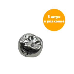 Второй нижний левый моляр, размер 3 (E-LL-3)