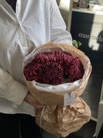 Моно из одноголовой хризантемы бордового оттенка ПОВТОР