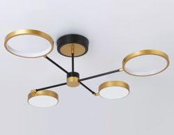 Ambrella Потолочный светодиодный светильник с пультом LineTech FL5153