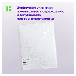 Папка с 40 вкладышами Berlingo "DoubleWhite" А4, 24мм,  1000мкм, белая, с внутр. карманом