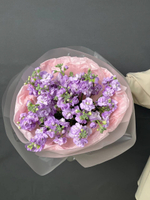 Ароматная маттиола «Аромат ночи»