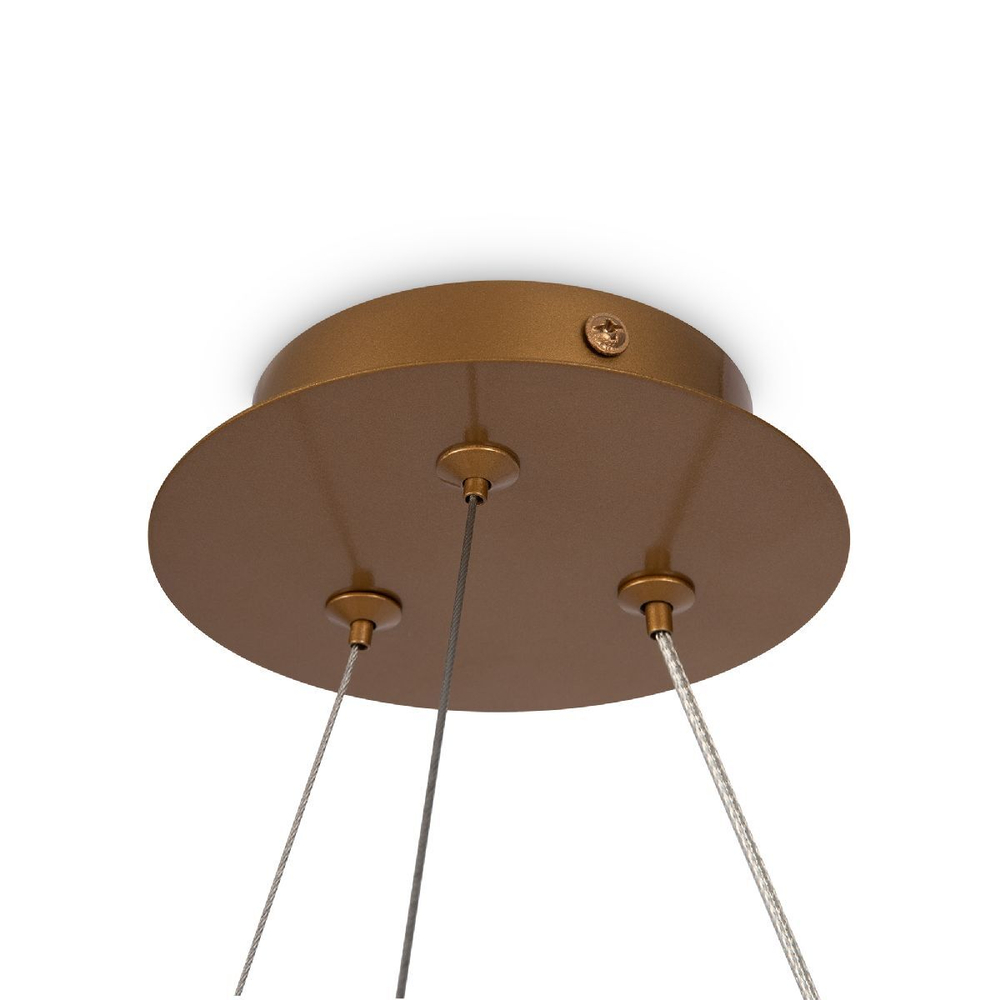 Подвесная люстра Maytoni MOD317PL-04G