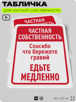 Табличка для частной территории "Частная собственность, едьте медленно", на дом, для участка, организаций, предупреждающая, 40х30 см, Silver Plane x Айдентика Технолоджи