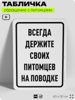 Табличка "Всегда держите своих питомцев на поводке" на дверь и забор, для двора, дома, подъезда, 40х30 см, Silver Plane x Айдентика Технолоджи