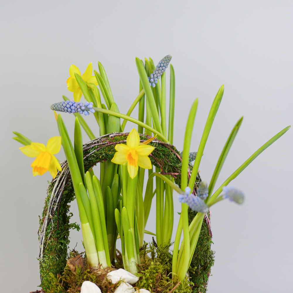 Композиция с первоцветами Лесная корзина S