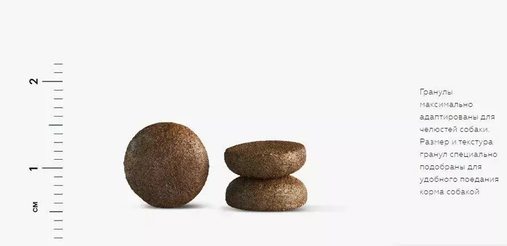 Сухой корм Karmy Mini Adult  для взрослых собак мелких пород, телятина, 2 кг