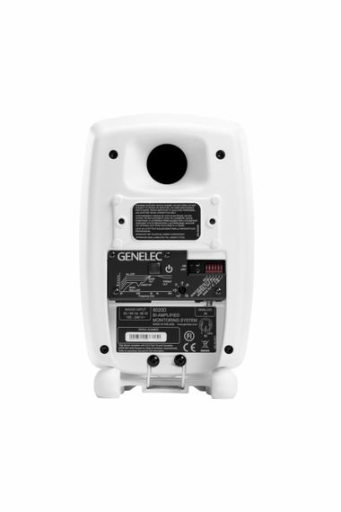 Genelec 8020DWM