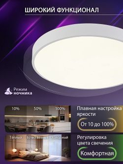 Накладной светильник Natali Kovaltseva  LED LAMPS 81111/5C