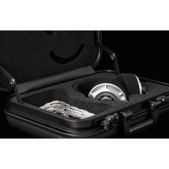 Final Audio D8000 DC Pro Edition Silver