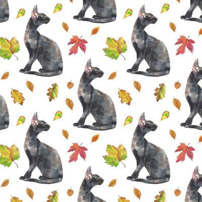 Черные коты 2