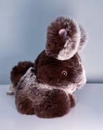 Кролик Тоша маленький (коричневый с белым) - уникальный окрас