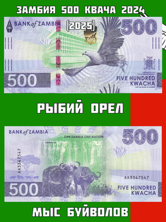 Банкноты