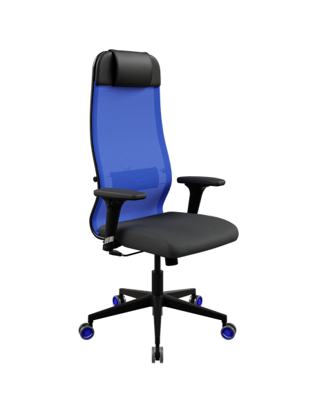 Sit 10 B1-111D - X2+UMF(X1) /Ub00/Wh00/D02P(M09.B11.G19.W27)