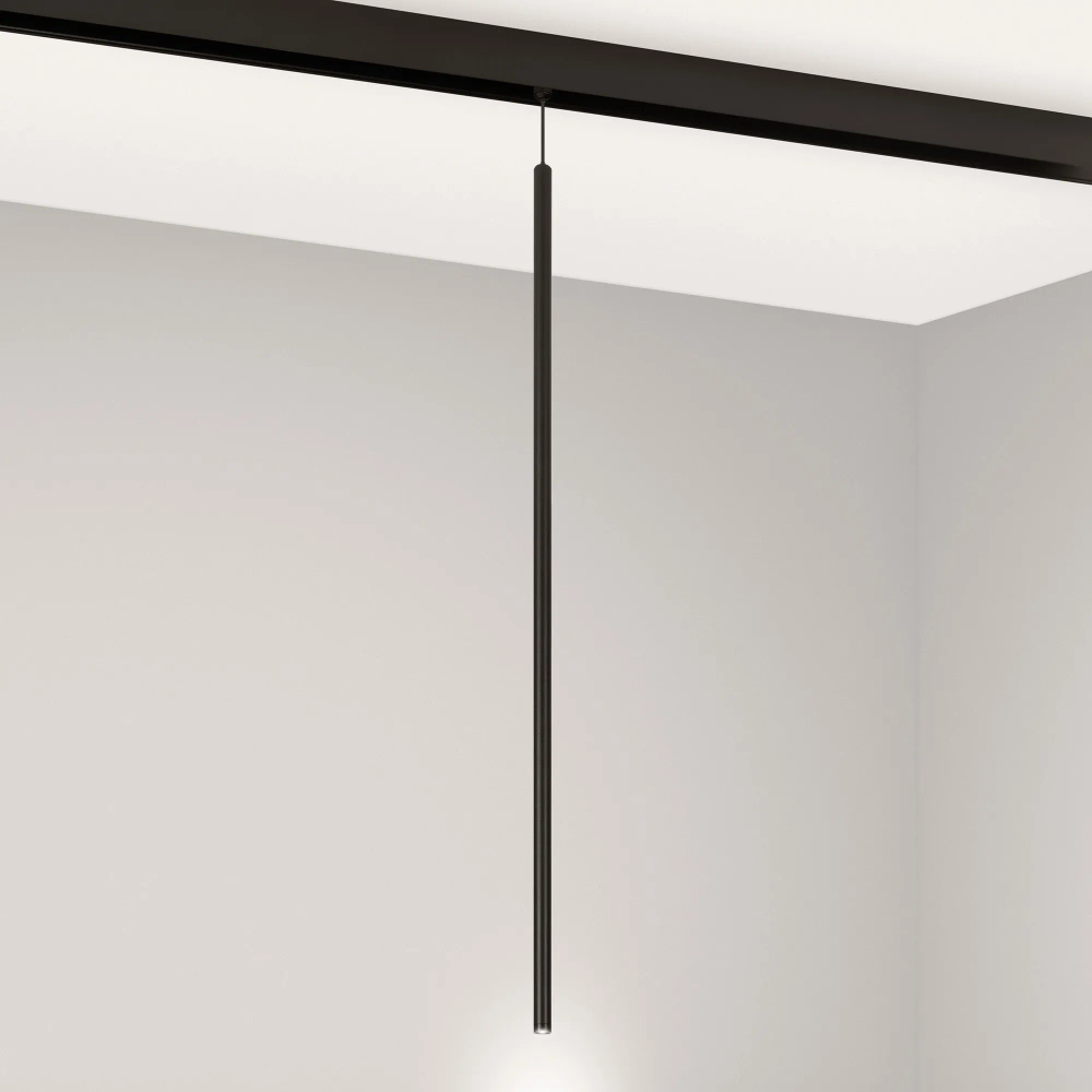Светильник MAG-ORIENT-SPOT-HANG-L600-R12-2W Day4000 (BK, 20 deg, 48V) (Arlight, IP20 Металл, 5 лет) 044501