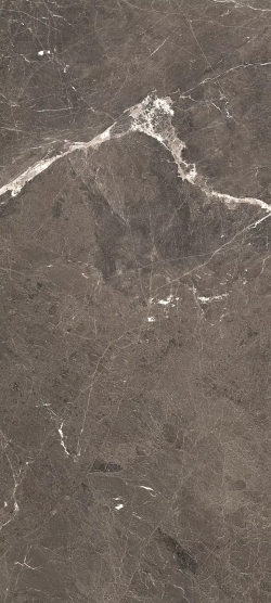 Керамогранит Heritage Luxe Brown Glossy RET