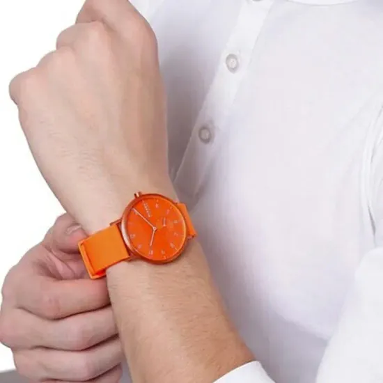 Мужские часы Skagen SKW6558