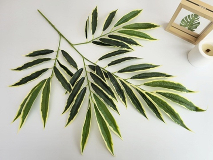 Лонгифолия 4 ответвления пестрая / Арт 1036