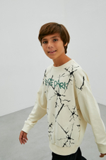 Джемпер дл/р д/м DELORAS 55395