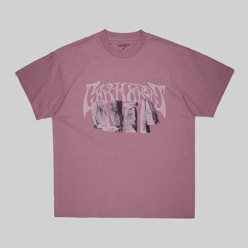 Футболка мужская Carhartt WIP Pagan артикул:I032877_daphne_beige - купить в магазине Дайс