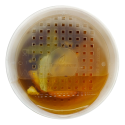 Чай Tasteabrew Ройбуш С АПЕЛЬСИНОМ И ЛИПОЙ (для стаканчика)