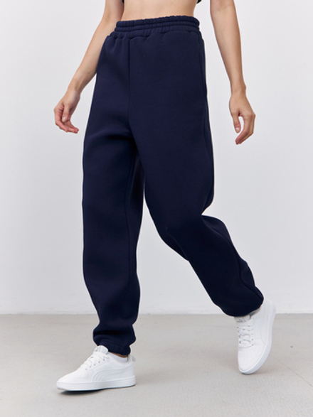 Брюки женские с начесом (темно-синий)