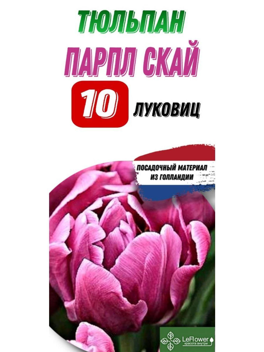 Тюльпан Луковица, Парпл Скай, 10шт