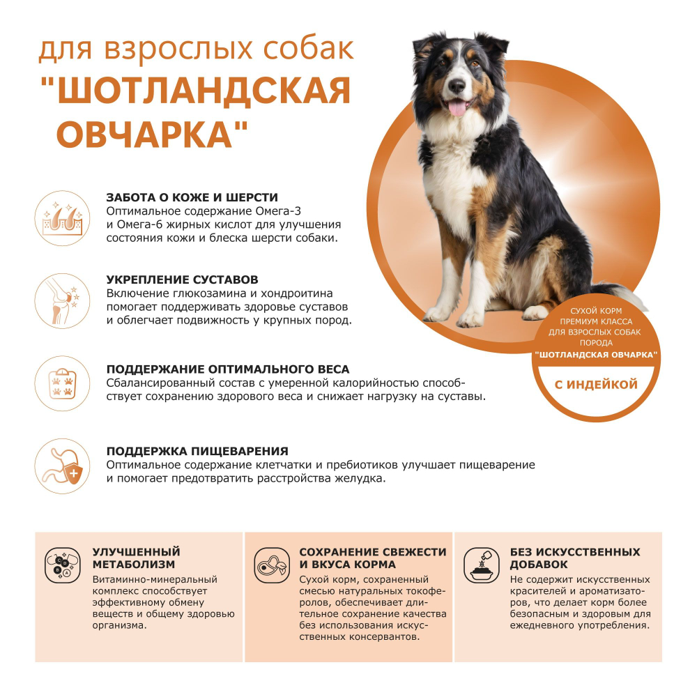 Корм сухой для взрослых собак породы Шотландская овчарка, премиум полнорационный комплекс, с индейкой, 2,5 кг, QUATTRO