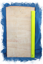 Котовая Акула в коробке