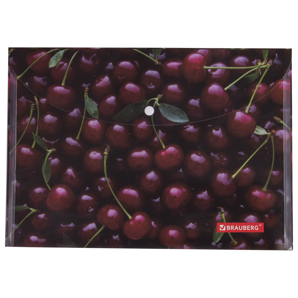 Папка-конверт с кнопкой BRAUBERG "CHERRY" А4 160 мкм до 100 листов цветная печать (12 штук в упаковке)
