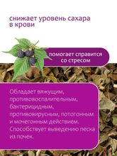 Ежевика лист