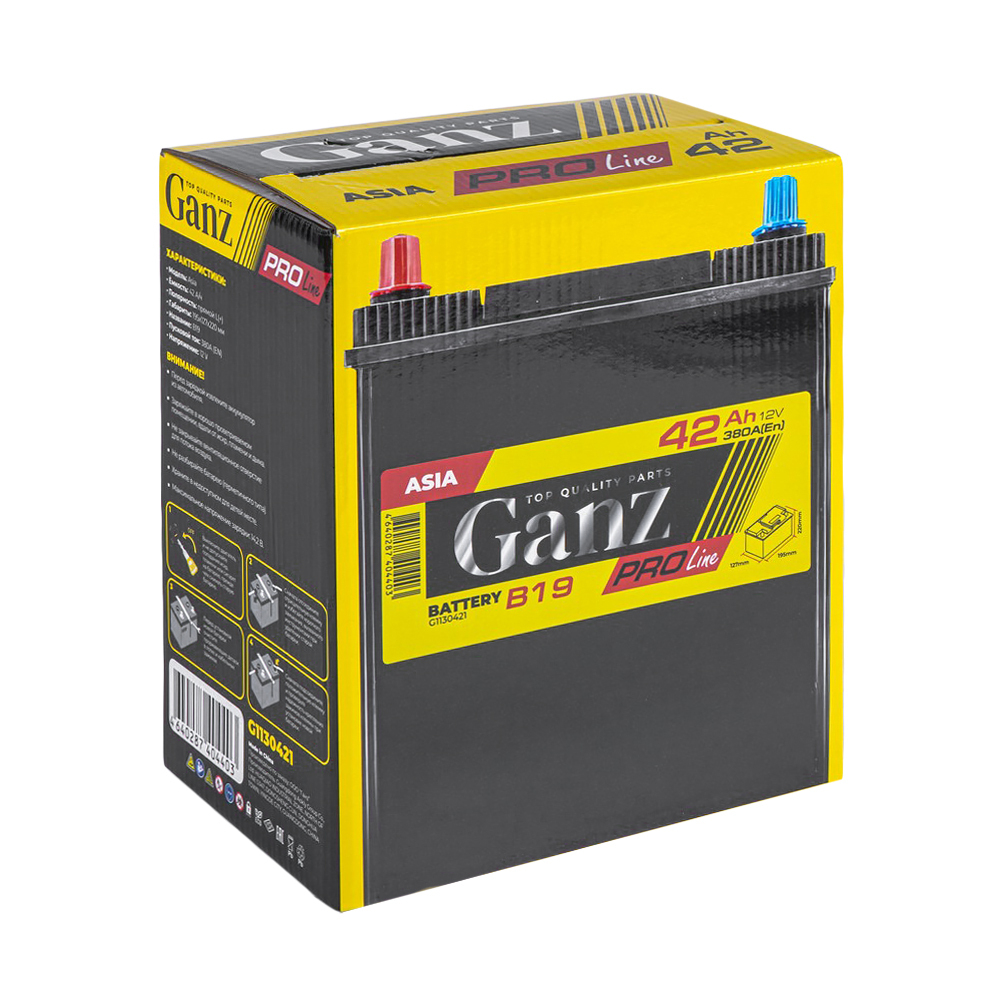 Аккумулятор GANZ PRO-Line JIS 42 А/ч прямой L+ 195x127x220 B19 EN 380 А