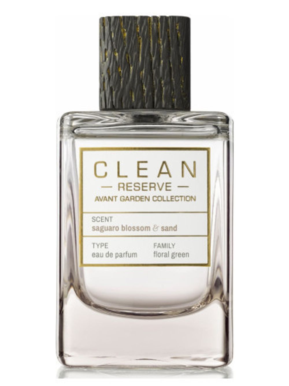 Clean Saguaro Blossom and Sand