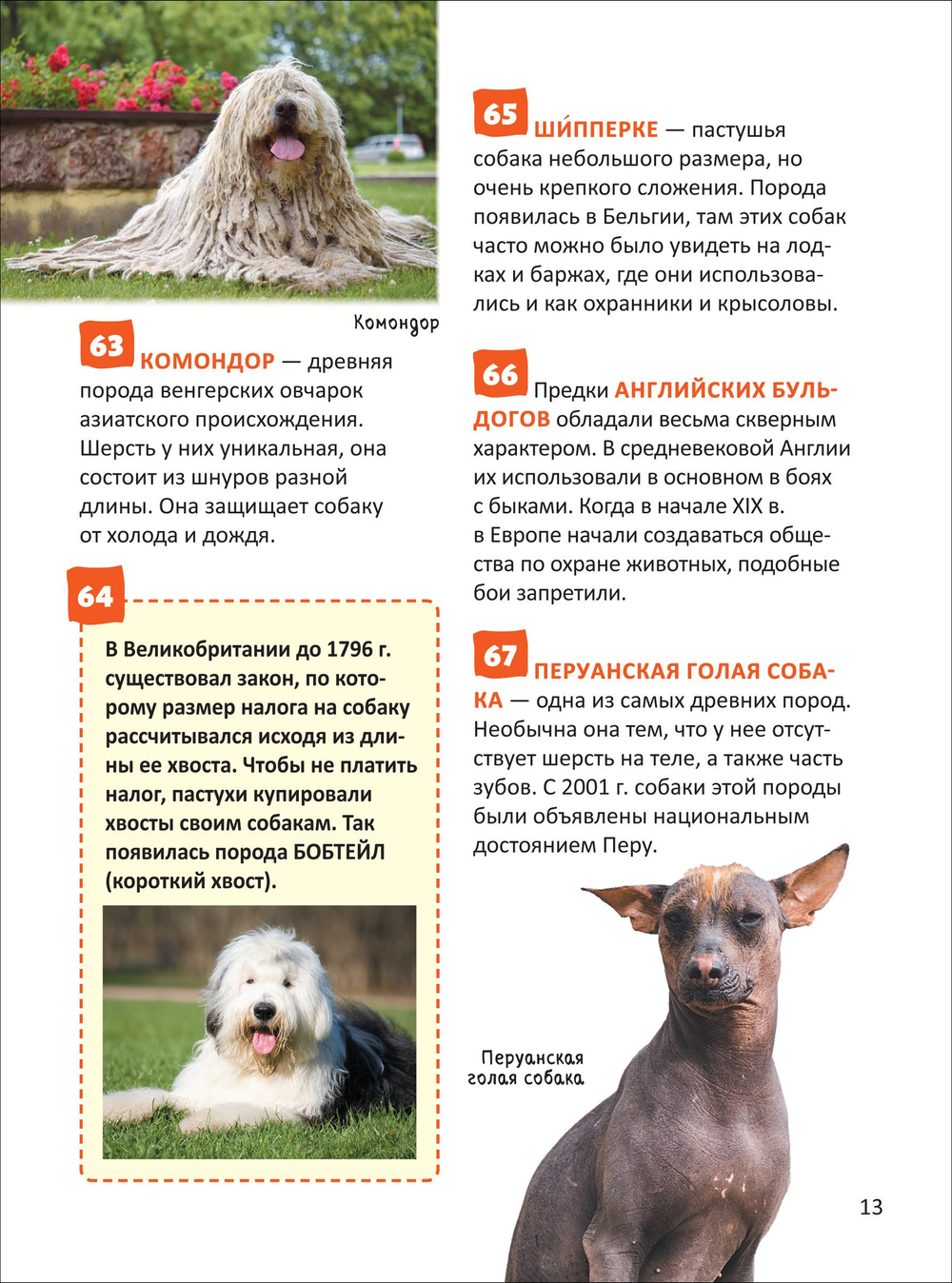 Кошки и собаки. Энциклопедия российского школьника