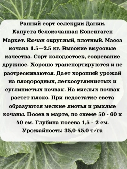 Семена капуста белокочанная Копенгаген Маркет 1 гр