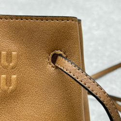 Miu Miu Leather Mini Bag 17 cm