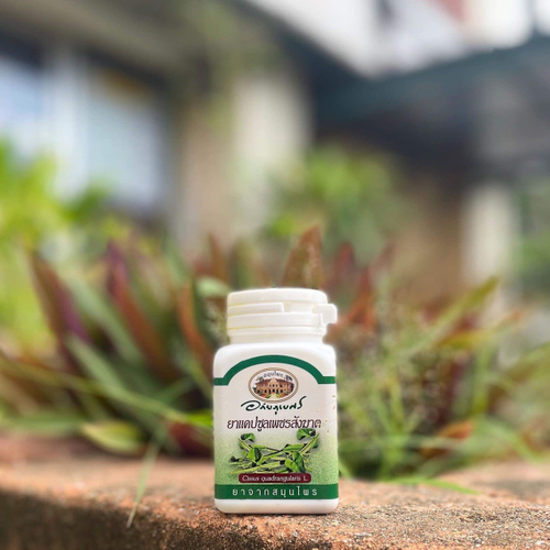 Капсулы Циссус четырехугольный Cissus Quadangularis Pet Sang Khat Capsule Abhaibhubejhr