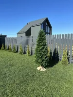 Туя искусственная (Литая хвоя) от 0,6 м до 2,3 м