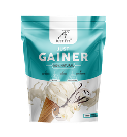 Just Fit Gainer Start mass 1000 grams , Гейнер на простых углеводах