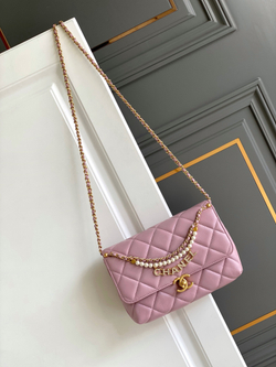 Chanel Bag 22 cm