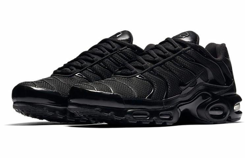 Кроссовки Nike Air Max Plus