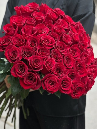 Красная роза сорт «Эксплорер» (Эквадор)