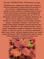 Колеус Черезвычайно горячий Викед Хот