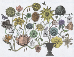 Коллекция Grafika Natura