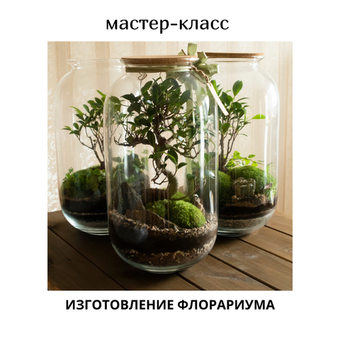 🌱 Мастер-класс «Профессиональный флорариум» — настоящий фитодизайн в миниатюре