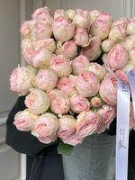 Пионовидная кустовая роза Менсфилд Парк