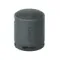 Sony SRS-XB100 Black