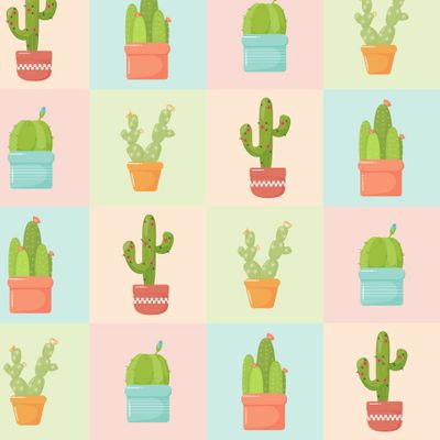 Cacti in pots set with colored squares