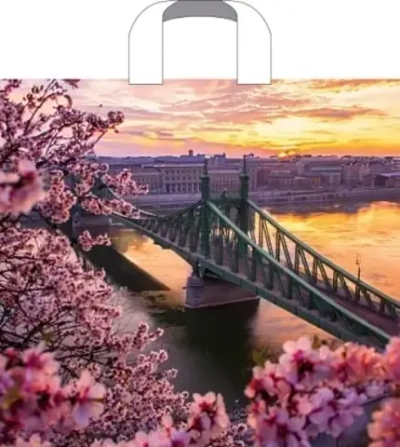 Пакет ПЭ с петлевой ручкой 38х34+3см (70) (Дунай) Артпласт (х50/500)