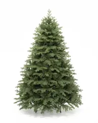 Искусственная елка Графская Премиум 150 см., Литая хвоя+ПВХ, ЕлкиТорг (44150)
