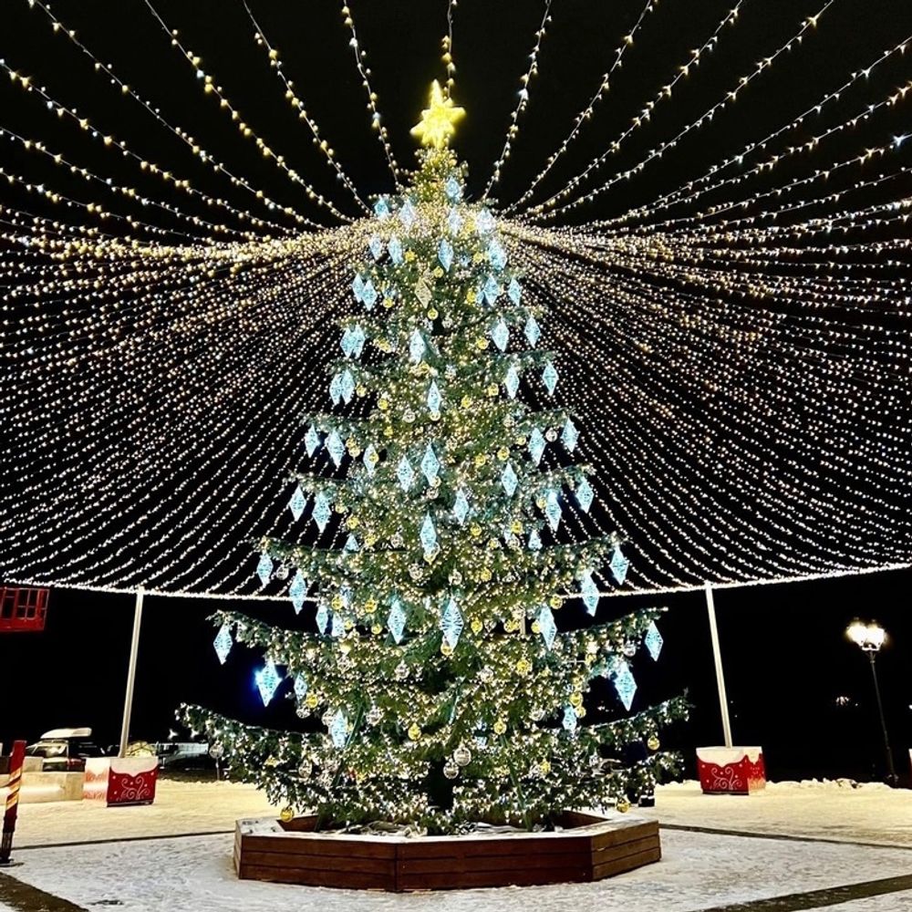 Светодинамическая елка ствольная со скамейкой, встроенная гирлянда: Теплый свет - "Лесная" (Литая хвоя) 14 м